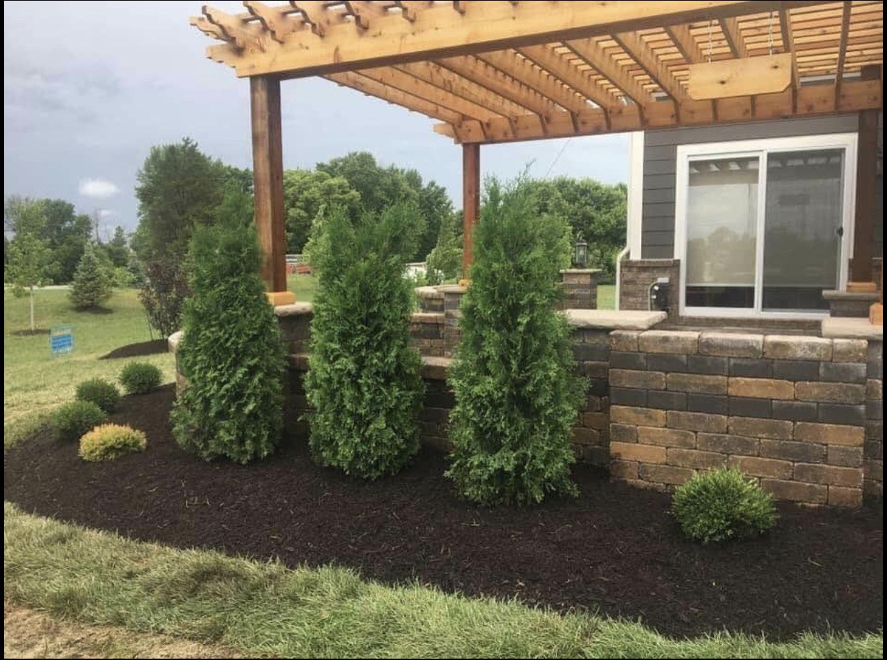 Timber pergola and patio constructed by Twiins